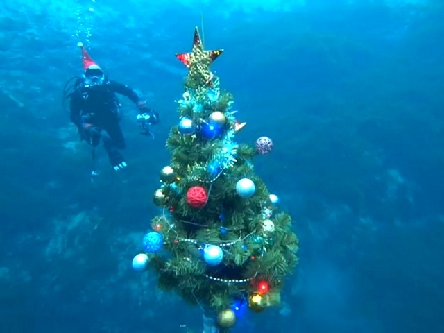 Новогоднюю елку установили аквалангисты на дне Голубого озера в Казани