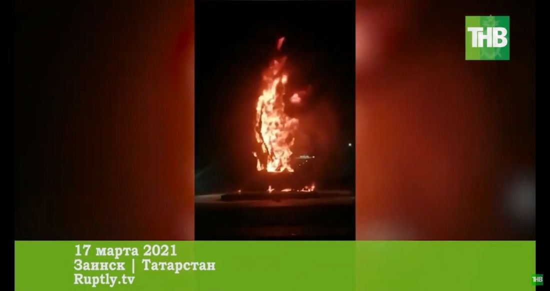 Волынец призвала не наказывать детей за сожжение памятника в Заинске