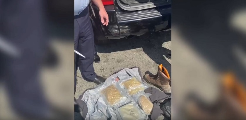 В Татарстане задержали крупного наркокурьера из Омска - видео