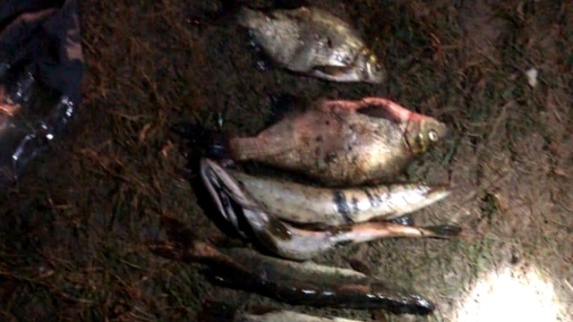 В Татарстане ловившие рыбу в заказнике «Свияжский» браконьеры попались с поличным