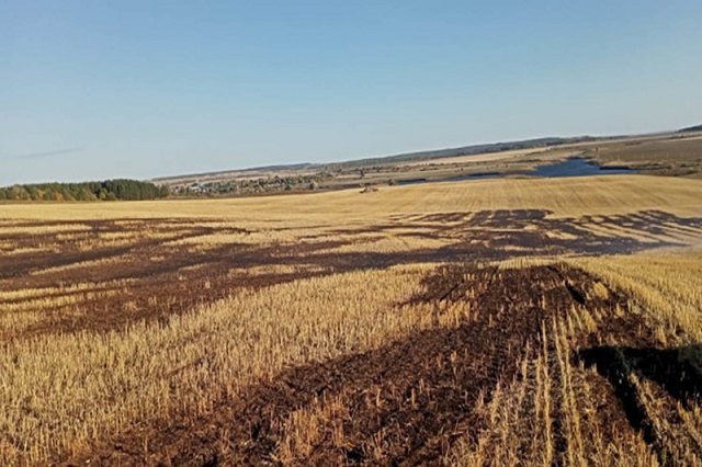 В Татарстане из-за непотушенной сигареты сгорело поле с сухой травой