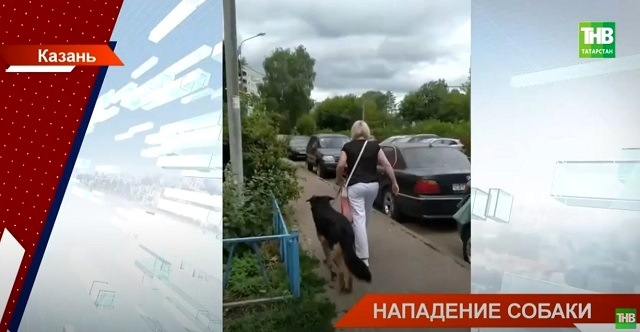 В Казани едва не лишившая ребенка зрения собака продолжает гулять во дворе