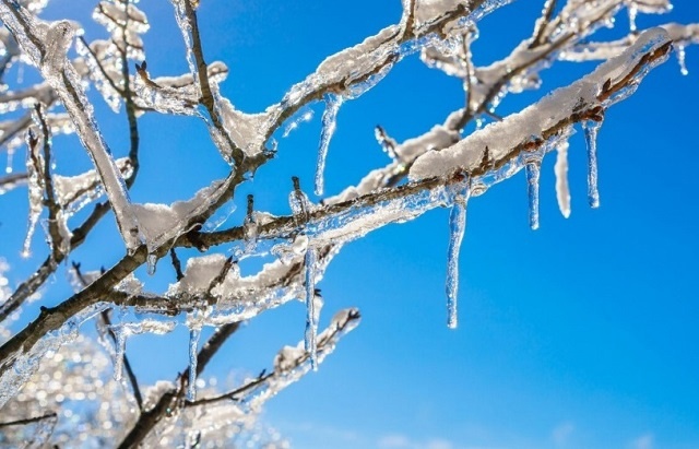 Легкий мороз пообещали жителям Татарстана на 29 ноября