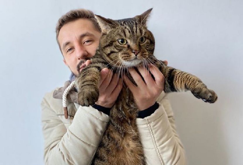 Почетным гостем выставки кошек в Казани станет кот Виктор