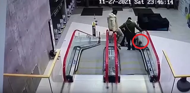 В Москве 17-летняя девушка сорвалась с поручня эскалатора – видео
