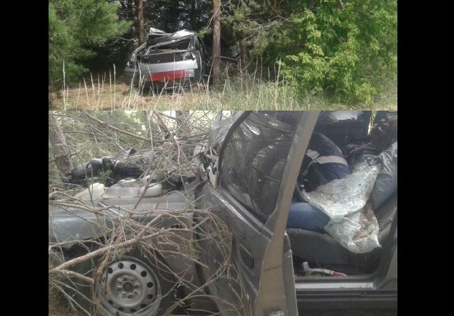 В Татарстане при столкновении «Лады» и лошади погибли три человека