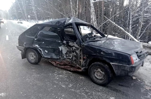 Сбивший лося водитель «ВАЗа» спровоцировал лобовое ДТП на трассе в Татарстане