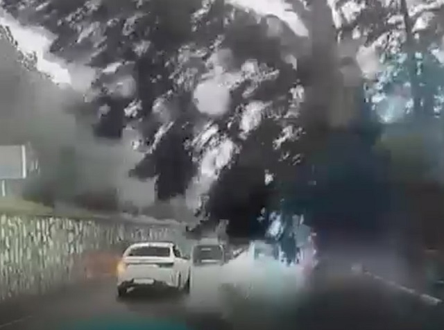 Видео: огромное дерево рухнуло на легковушку во время непогоды