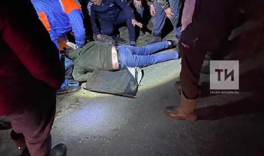 Мотоциклист попал в реанимацию после столкновения с лосем в Татарстане