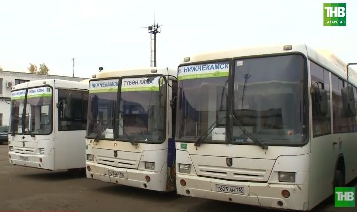 «В тесноте, да не в обиде»: в Нижнекамске на 1 автобус приходится 13 тысяч жителей - видео 