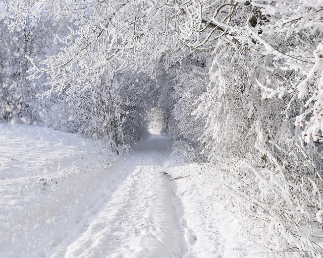 Метеоролог КФУ объяснил причины снежного бума в Татарстане и рассказал о погоде на февраль