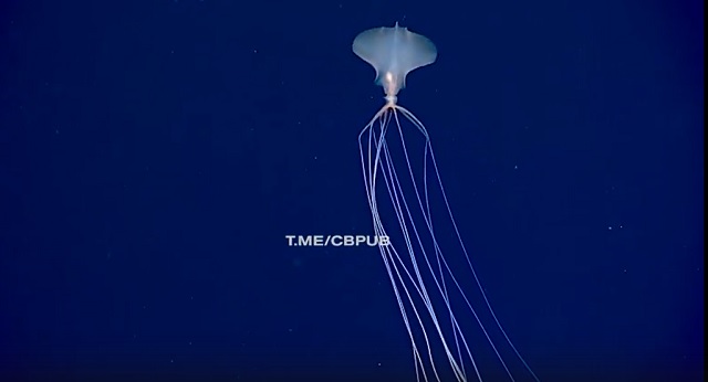 Кёнсонское существо 2 сезон