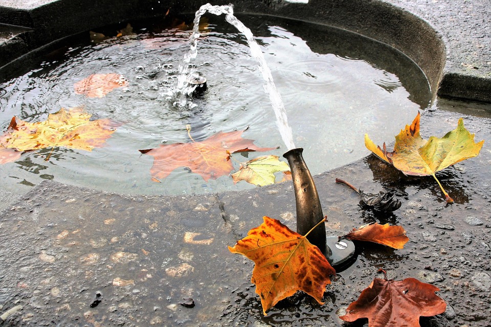 Попав в листья вода. Осенние фонтаны умолкли в саду. Картинки фонтан осенью. Дождевая вода желтая. Ведро дождь.