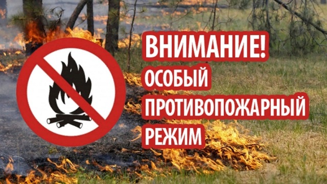 Особый противопожарный режим в Татарстане продлится с 17 апреля по 10 мая