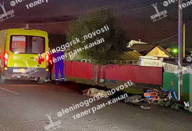 Столкнувшийся с лошадью подросток на питбайке погиб в Татарстане