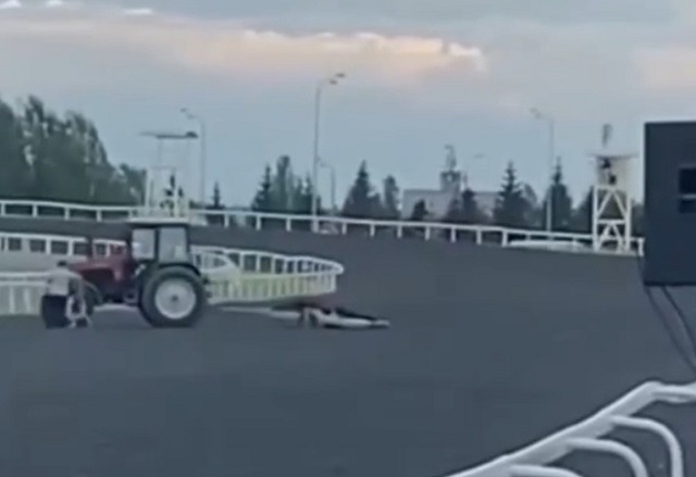 Лошадь скончалась на глазах у зрителей во время скачек на ипподроме в Казани - видео