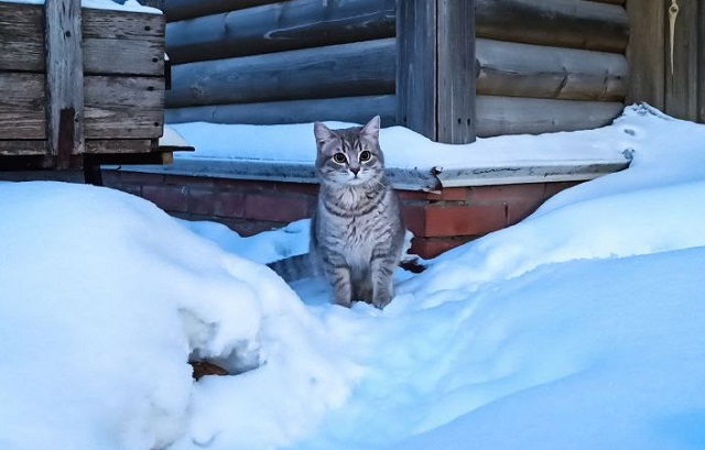4 февраля на Татарстан обрушатся мощные снегопады