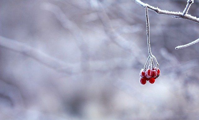 Зимой в Татарстане будет теплее, чем обычно