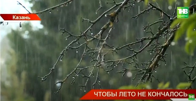 Во власти Атлантического циклона: садоводам Татарстана объяснили, к чему готовиться