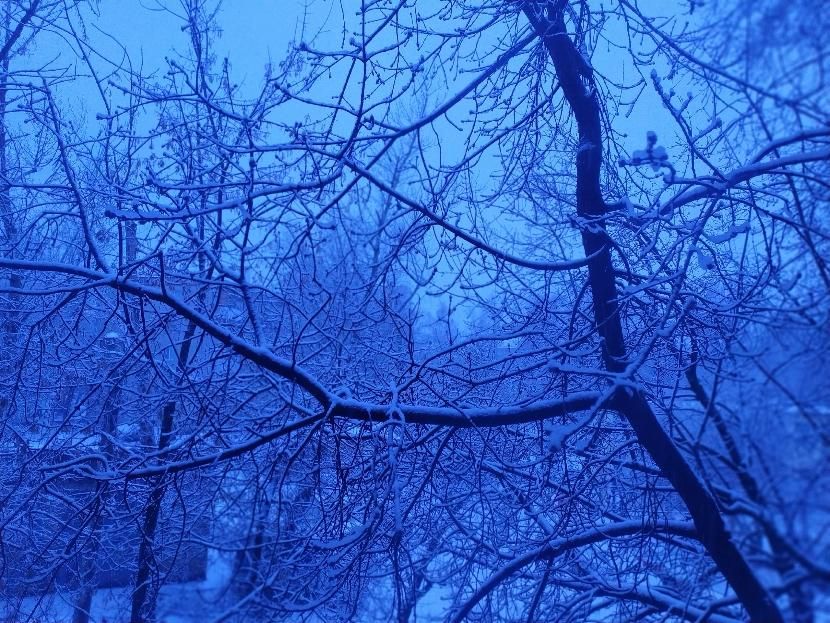 Гидрометцентр: теплые деньки в Татарстане сменятся заморозками до -10 градусов