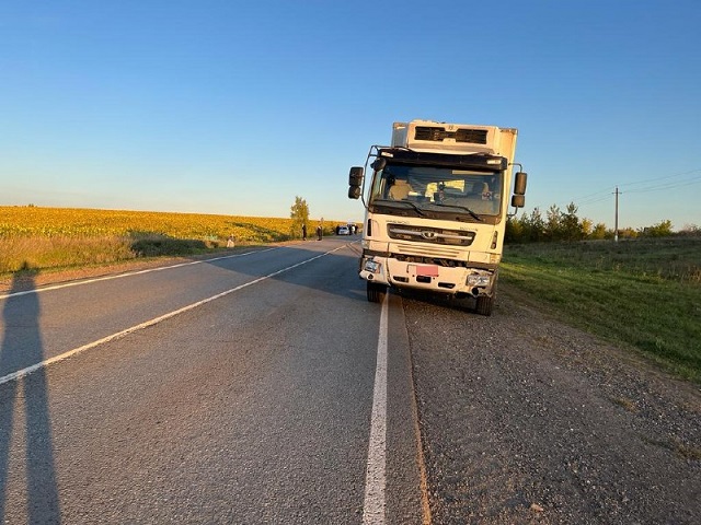 Водитель грузовика насмерть сбил трехлетнего ребенка на трассе в Татарстане