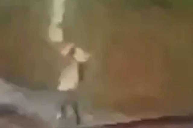 Смертельный разряд молнии, поразивший мужчину с зонтиком, попал на видео в Подмосковье