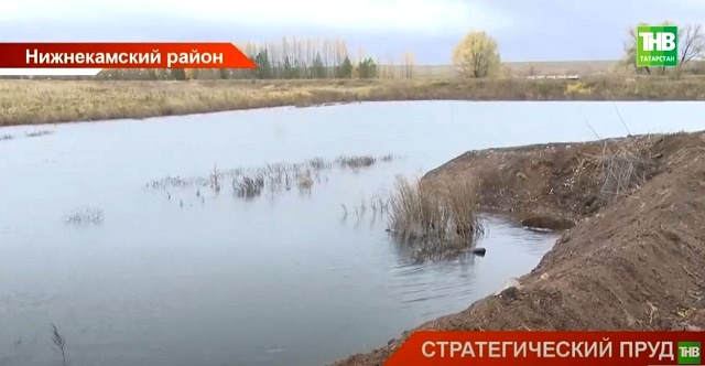 Пруд стратегического значения: в Татарстане восстановили водоем, который был на грани высыхания