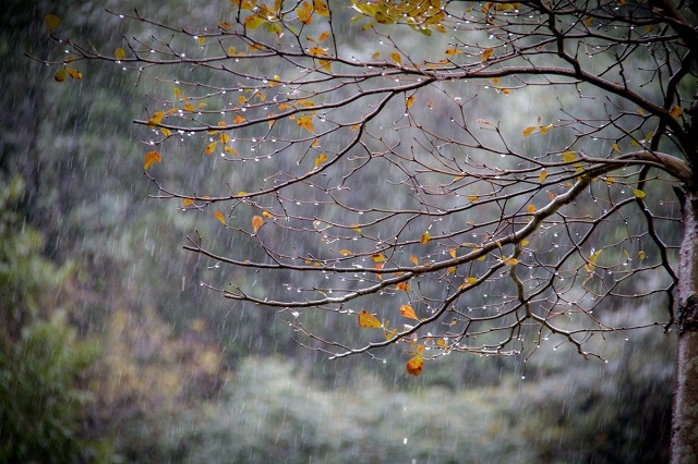 18 октября в Татарстане к сильнейшему ветру присоединятся дождь и снег