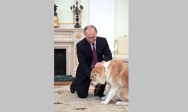 Путин подарил псковской школьнице щенка акита-ину