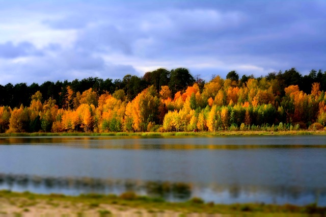 Тепло и солнечно: 13 октября в Татарстане воздух прогреется до +17 градусов