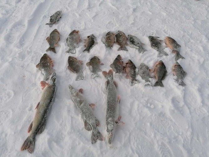 В Казани два рыбака пойдут под суд за ловлю рыбы в природоохранной зоне