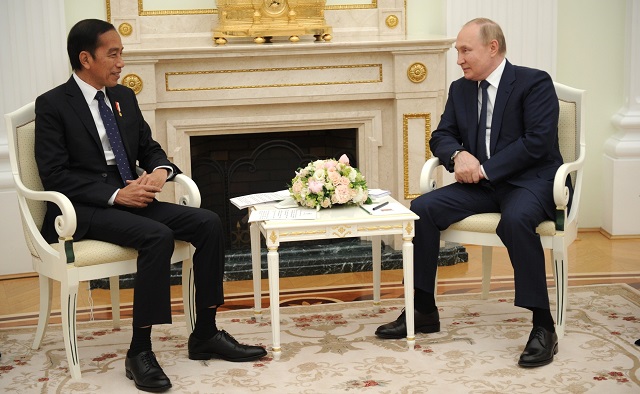 Путин обсудил двустороннее сотрудничество с президентом Индонезии