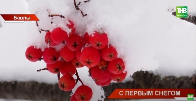 Аварии и сугробы: ТНВ показал последствия первого снега в Татарстане - видео