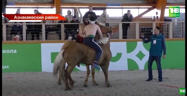 Конный көрәш: 60 спортсменов со всей России собрались в Татарстане для борьбы на лошадях