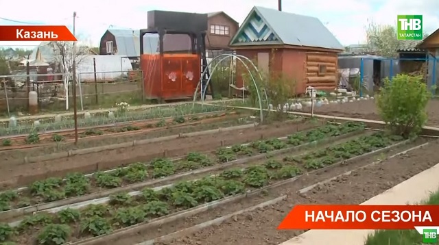 Жители Татарстана все чаще предпочитают загородный отдых и покупают дачи