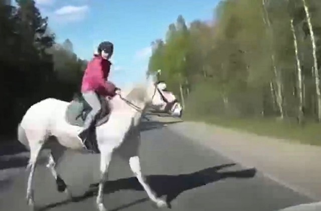 Автолихач сбил сидящую верхом на лошади девочку - видео