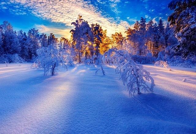 От снежной бури к 33-градусным морозам: чего ждать от погоды недели в Татарстане