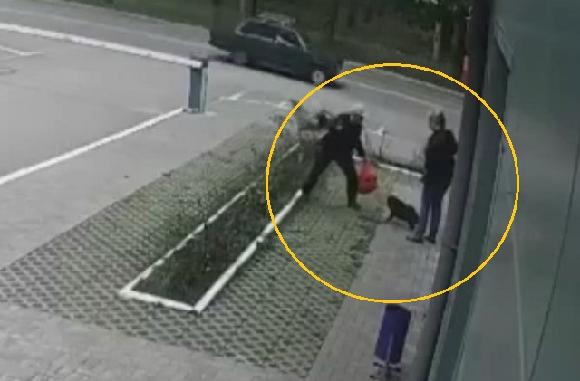 Шок-видео: мужчина пакетом убил напавшую на него собаку