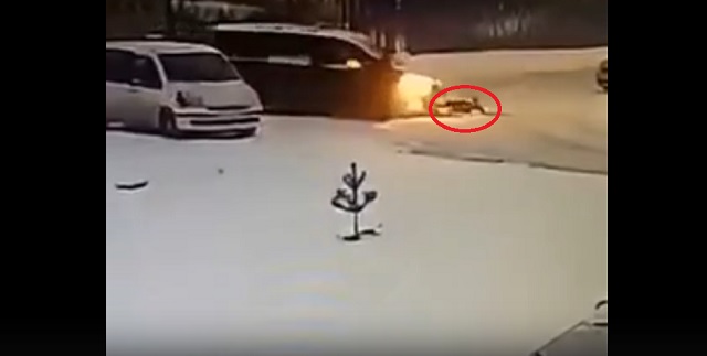 В Новосибирске водитель Honda сбил 4-летнего ребенка на снегокате – видео