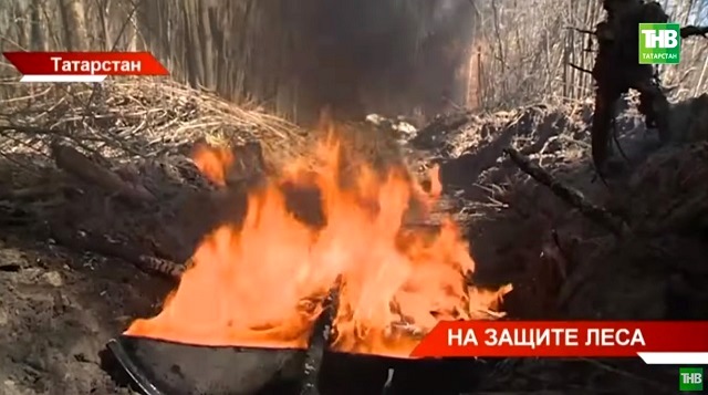 На защите леса: в Татарстане начали проверять готовность лесопожарных станций