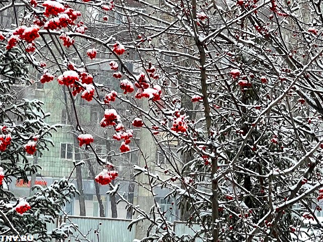 Погода выходных в Татарстане интригует