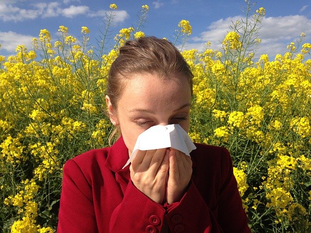 Эксперт рассказала, как отличить симптомы ОРВИ от аллергии