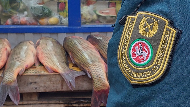 В трех районах Казани обнаружили места несанкционированной торговли речной рыбы