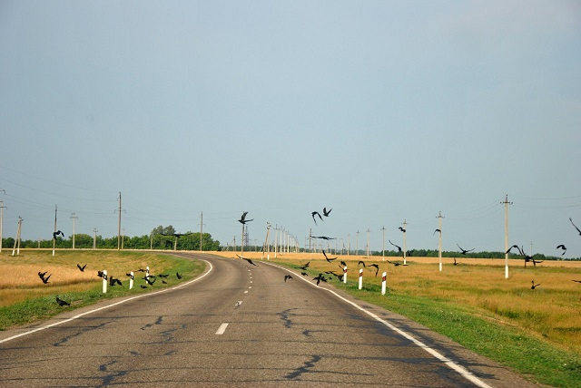 В Татарстане по нацпроекту реконструировали 79,4 км региональных дорог