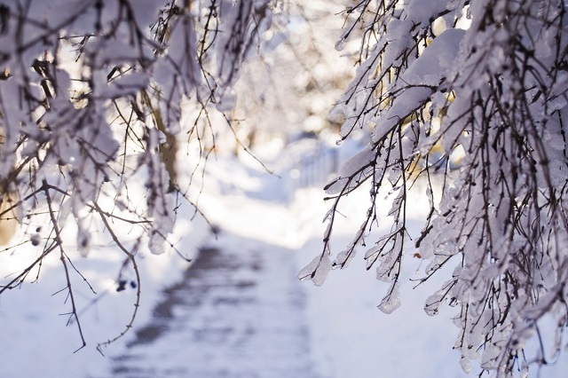 Впереди еще два снежных месяца: профессор КФУ предупредил о новых снегопадах