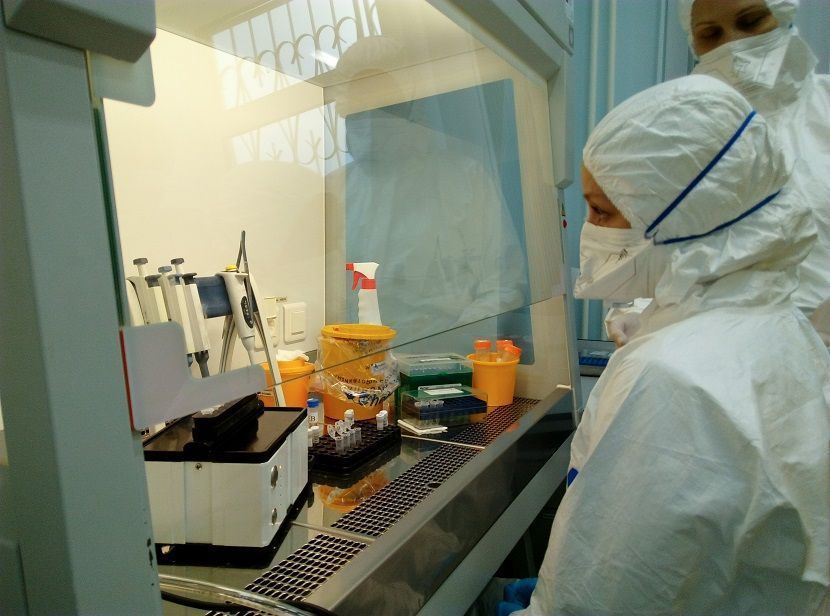 Ученые КФУ надеются получить к концу недели образец теста на антитела