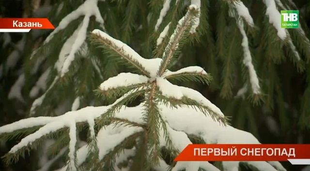 Стало известно, какие еще погодные сюрпризы в Татарстане готовит ноябрь 