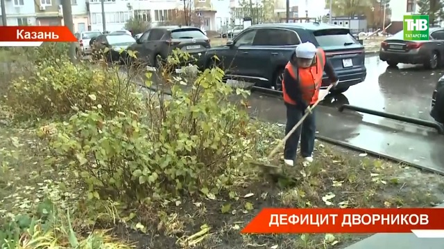 Кышка якынлашканда ишек аллары җыештыручыларның 20% эштән китә