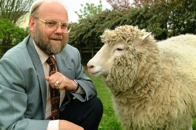Клонировавший овечку Долли ученый Иэн Уилмут скончался в возрасте 79 лет