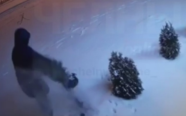 В Челнах мужчина вырвал с корнем и унес посаженную на улице елку - видео